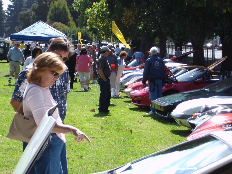 Scene from Palo Alto All British Car Meet