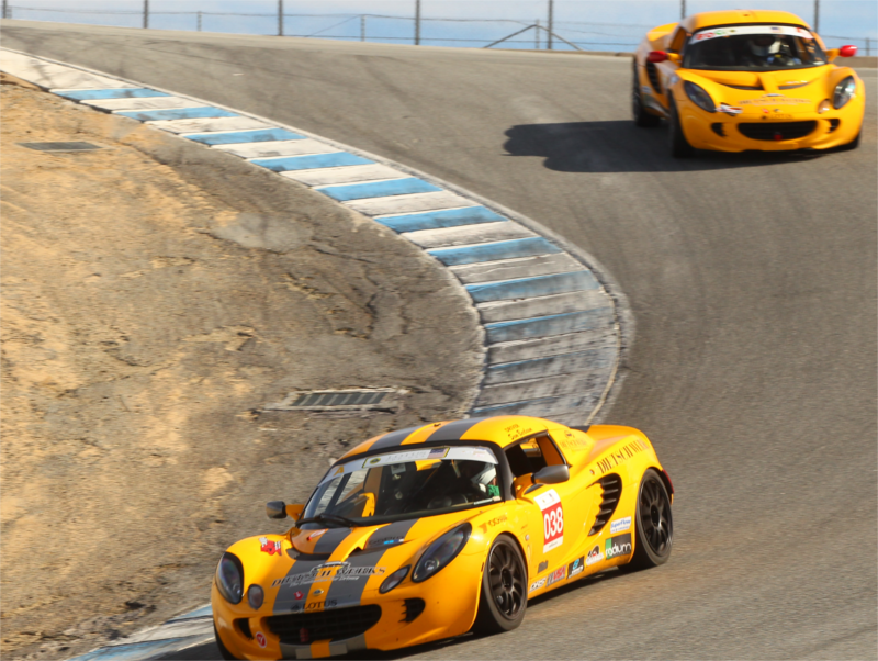 Elise #038 in the corkscrew