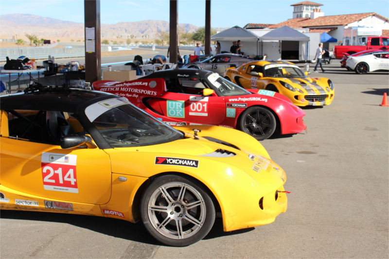 Elise #214 in paddock