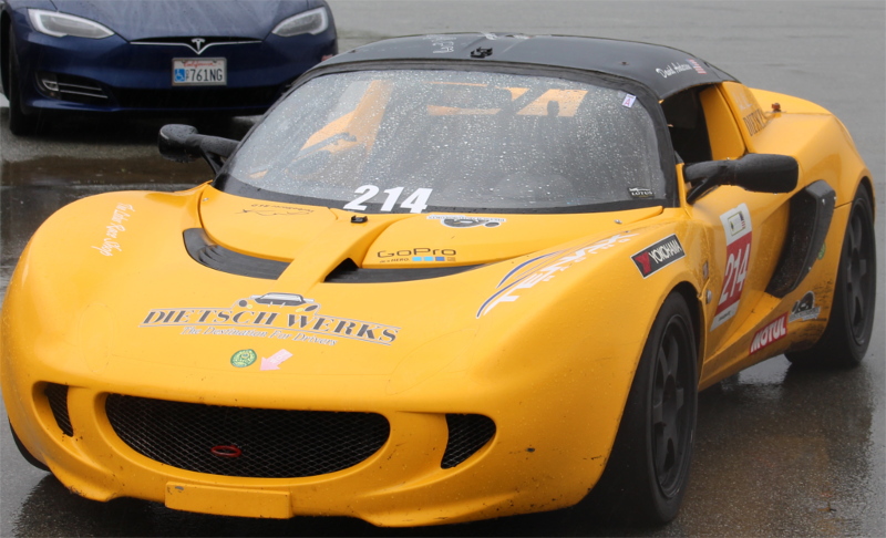 Elise in the rainy paddock